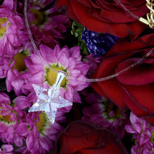 Load image into Gallery viewer, Lone Star