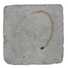 Load image into Gallery viewer, Lone Star